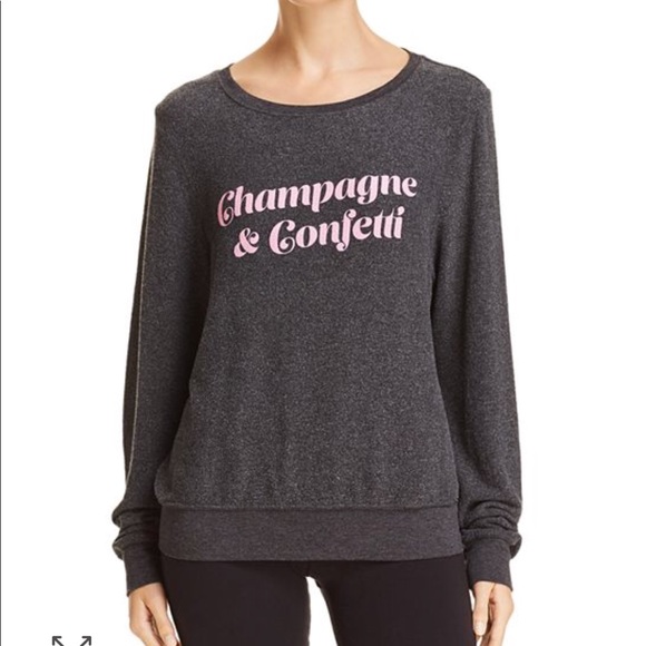 Wildfox Sweaters - Wildfox sweatshirt, NWOT!